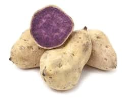 Hawaii Sweet Purple Yam