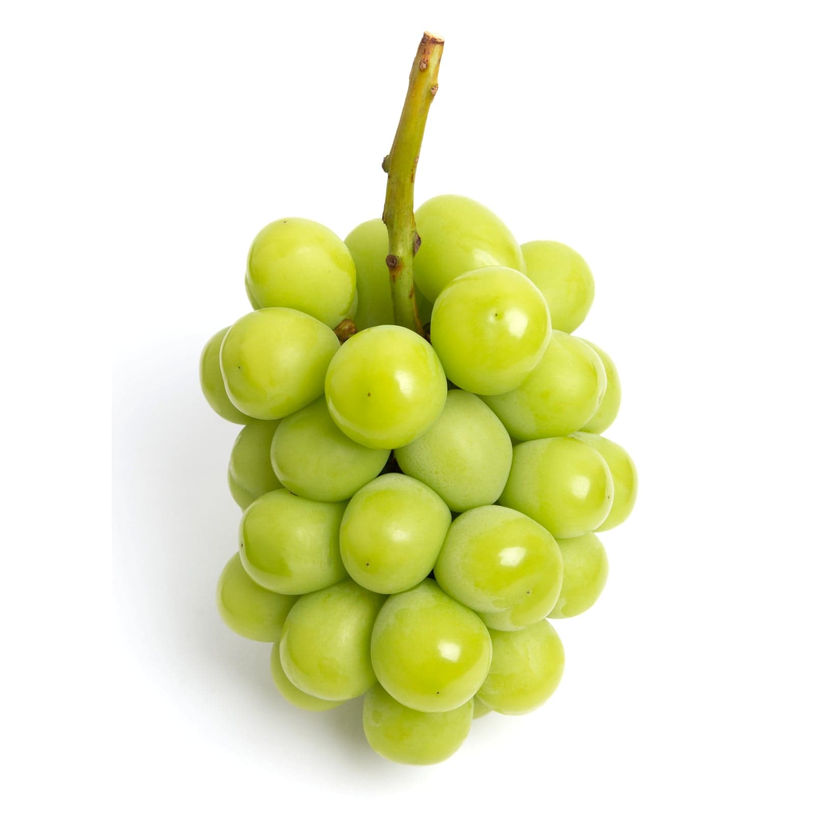 Premium Shine Muscat