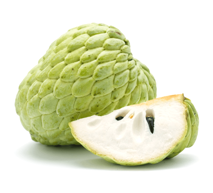 Brazil Sweet Sop