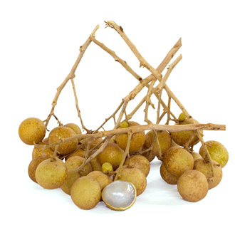 Jumbo Longan
