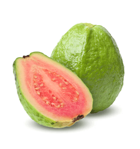 Red Guava
